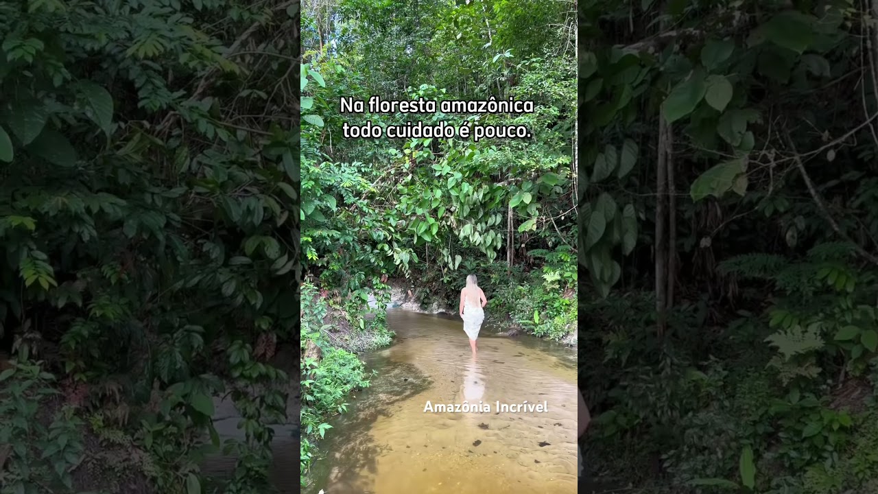 Floresta Amazônica.