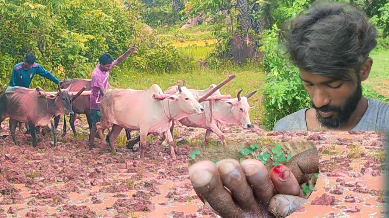 Hal Chalate Chalate Popat Ho Gaya | Vlog video | Hopanta Jh04