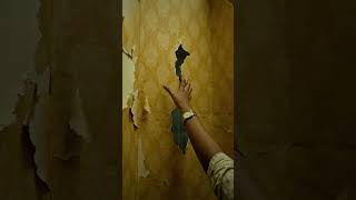 I'm here horrible #funny #comadin #comedy #comon #automobile #comand #youtubeshorts #cat