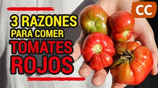 3 RAZONES PARA COMER TOMATES ROJOS | Ciencia de la Comida by Ciencia de la Comida 1,871 views 5 months ago 6 minutes, 35 seconds