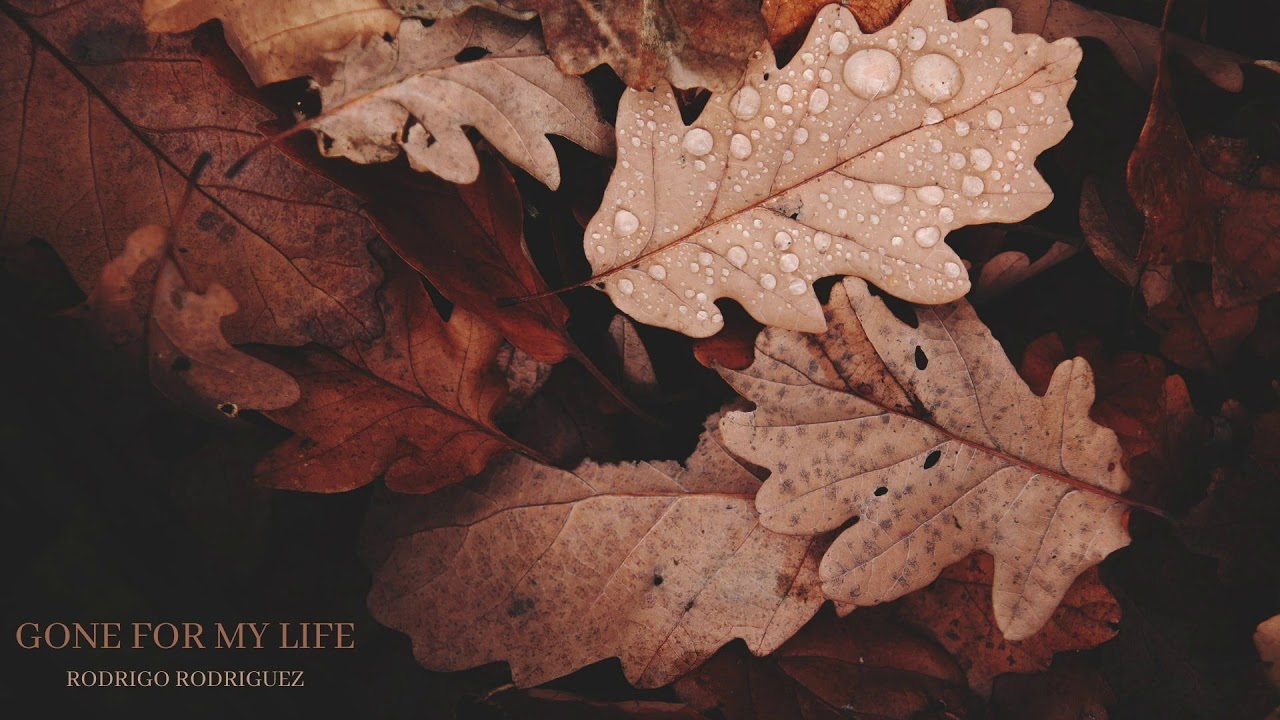 Ver Gone for My Life (Remaster) 2005 | Acoustic Downtempo | Rodrigo Rodriguez SHAKUHACHI no YouTube Ver Gone for My Life (Remaster) 2005 | Acoustic Downtempo | Rodrigo Rodriguez SHAKUHACHI no YouTube