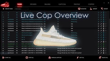 NikeShoeBot Adidas Yeezy Boost v2  Lundmark Reflective Live Cop Overview
