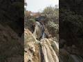 Neer Waterfall | Hidden gems of Rishikesh🏔️#waterfall #rishikesh #yognagririshikesh #viral #shorts