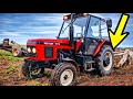 Zetor 7711 &amp; PF62 🥔 Potato Harvest 4K