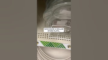 The wild ways she turns Dollar Store plates into jaw dropping home decor!