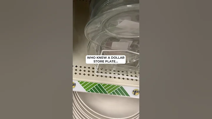 The wild ways she turns Dollar Store plates into jaw dropping home decor!