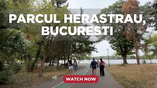 : Relaxing 4K Walk Through Parcul Herastrau (Herastrau Park), Bucharest, Romania