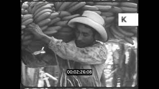 1960, 1970s Central America, Honduras Banana Republic, 16mm
