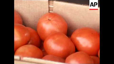 News Item (113c8fcd-7e2e-2f9d-df70-c64f9f323d01)