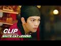 Li Bing Fights the Masked Man | White Cat Legend EP12 | 大理寺少卿游 | iQIYI