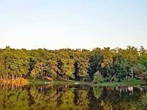 3219 Rustic Ln, Crown Point, IN home video tour
