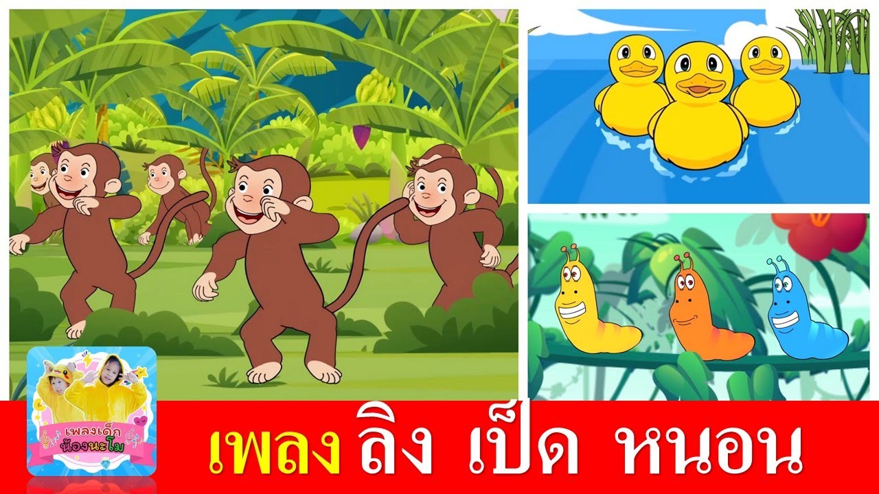 เพลงเด็ก ลิง เป็ด หนอน | ลิงเจี๊ยกเจี๊ยก | เป็ดก้าบก้าบ | หนอนต้วมเตี้ยม