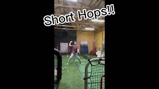 Solo Fielding Drills You Can Do at Home (Rebounder Training) Profile