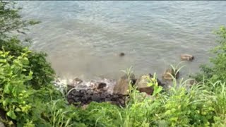 All Comes Back To You By Tina Charles 1976