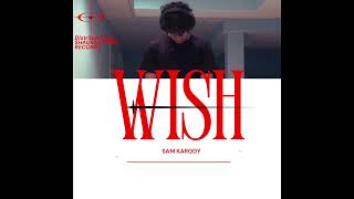 WISH | Sam Karody | Latest Rock-Fusion Track 2024 | Official Audio