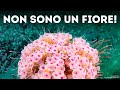 Se utilizzi questi consigli di sicurezza, i problemi diventeranno un lontano ricordo.