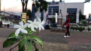 Alun alun banjarnegara