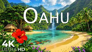 Oahu 4K 🌊 Volcanic Coastlines, Tropical Valleys and Pacific Island Wonders screenshot 2