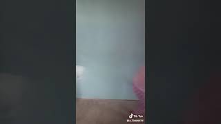 Download lagu lucu tante dan keponakan nya lucu tante dan keponakan nya