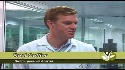 Qual a composição química do óleo diesel?