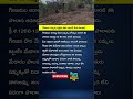 Medaram Sammakka పుట్టిన ఊరు ఎక్కడో మీకు తెలుసా? #sammakkasarakka #medaramjathara #jampannavagu