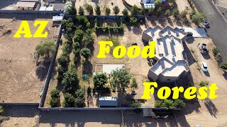 5 Year Old Food Forest in Arizona | Visiting the Old Farm