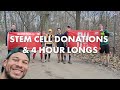 STEM CELL DONATIONS &amp; 4 HOUR LONG RUNS || Sulpher Springs 100k training