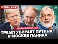 ⚡️ШЕЙТЕЛЬМАН: Всё решается СЕЙЧАС! Дикий ПРИКАЗ Трампа ДОБИЛ Путина. США ЭКСТРЕННО ПОКИДАЮТ Москву