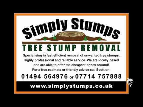 Tree Stump Removal Buckinghamshire and  Berkshire