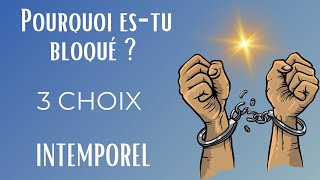 QUEL EST CE BLOCAGE ? D'OU VIENT-IL ? ✨🥰FAIS TON CHOIX 🦋INTEMPOREL ✨