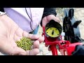 jambo seeder | Multi seeder | nursery seeder | Seed sowing machine | Jumbo seeder | Jai Hind
