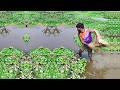 Amazing Net Fishing Video - Best Fishing Video - Old Fisherman Catch Fish in Pond