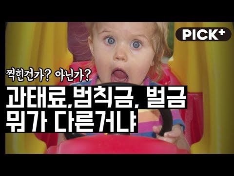 알아두면 쓸모있는 과태료, 범칙금, 벌금 차이점 바로보기!