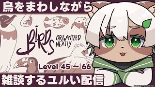 【Birds Organized Neatly】#2 鳥を回しながら脱力おしゃべりパズル配信【#Vtuber】#雑談