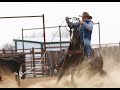 Preachin On The Bud Lot 39 Hershberger Sale