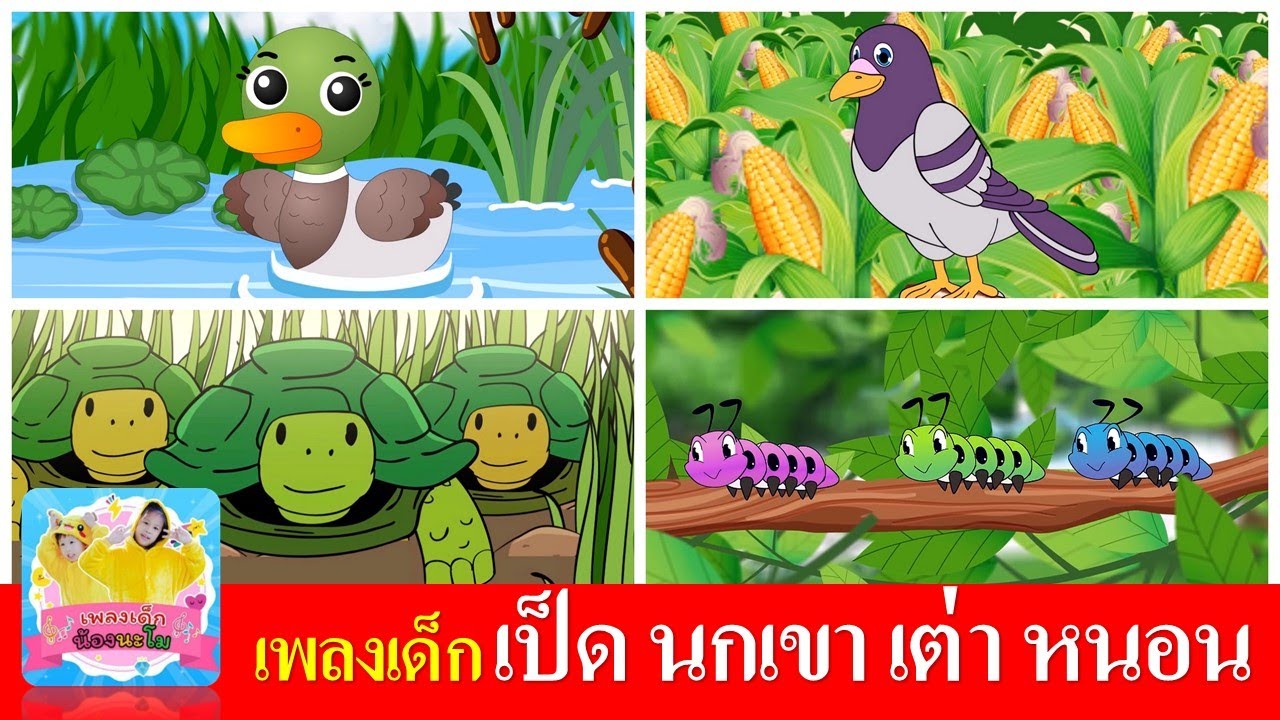 เพลงเด็ก เป็ด นกเขา เต่า หนอน
