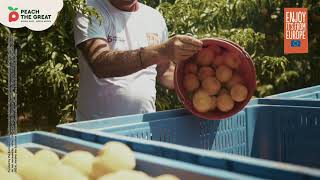 Peach The Great Mena - From The Land Of Alexander The Great