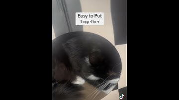 Cathouse with Scratching Board & Catnip