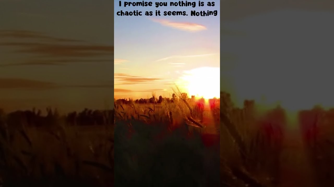 Your Daily Relaxing Quotes #10