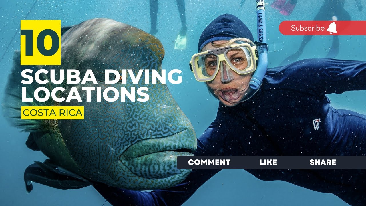 [2023] Costa Rica Dive Sites That Will Blow Your Mind: Our Top 10 Scuba Diving Locations
