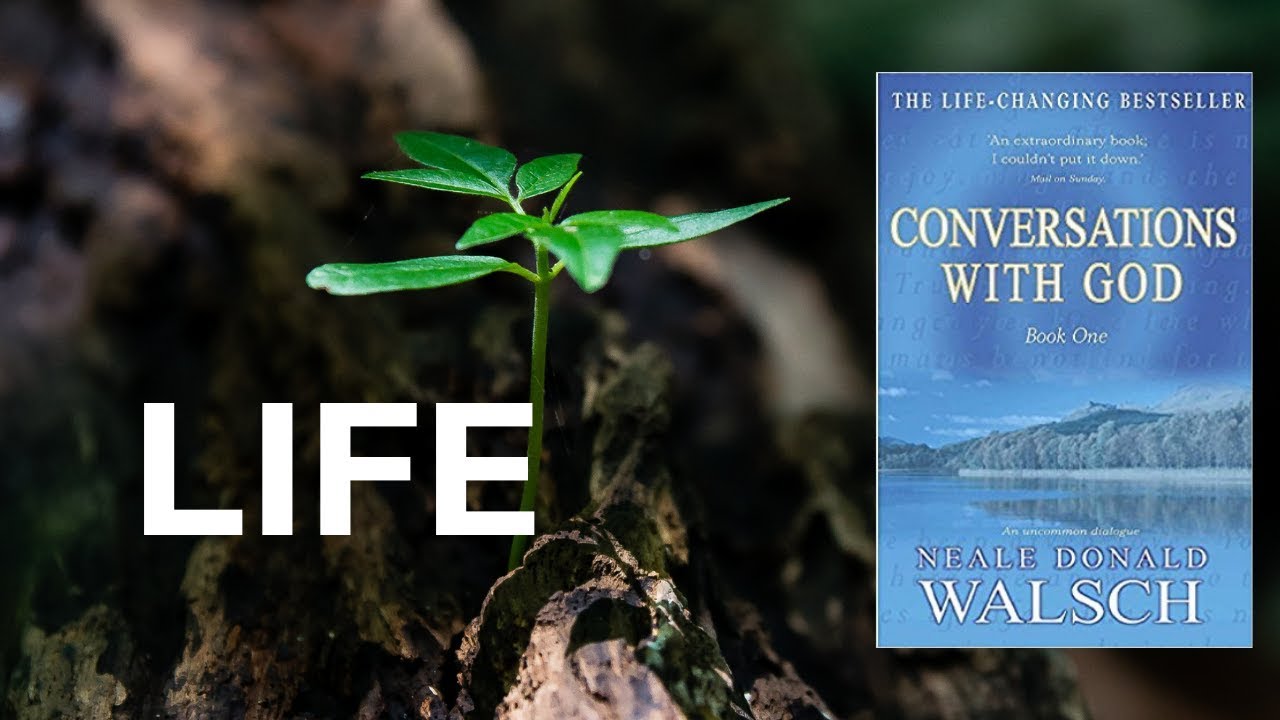 best rated conversations with god book best rated conversations with god book