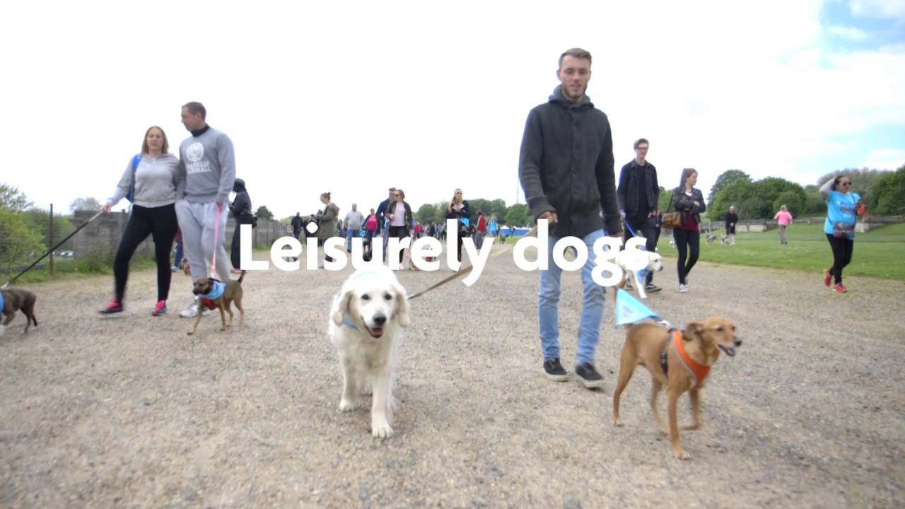cruelty free kiko A BIG thank you to BIG Walkies heroes
