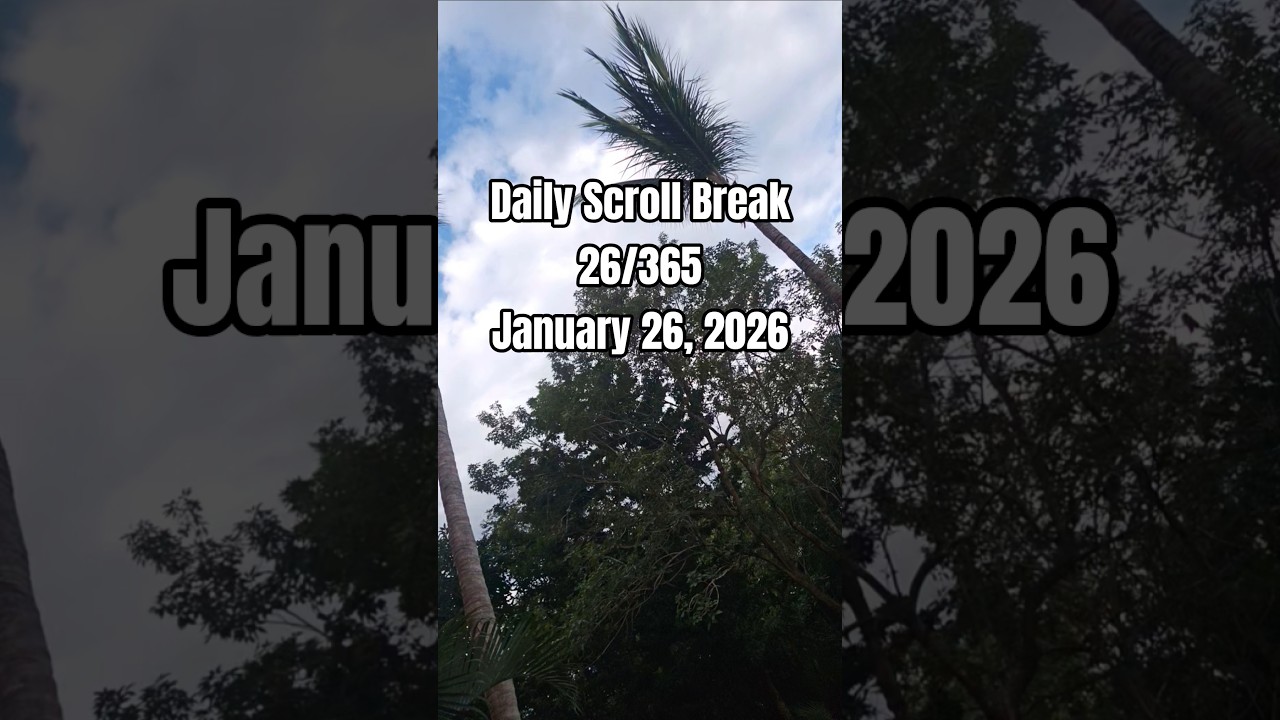 FINDING The Moment • Daily Scroll Break • 26/365 • 