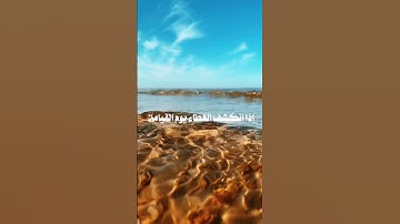 فضل أذكار الصباح والمساء 🌙🌿 | أذكار الصباح والمساء كاملة لحصن المسلم بصوت عبدالله البورادي #quran