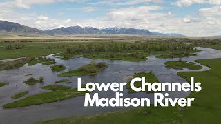 Madison River: Lower Channels Section