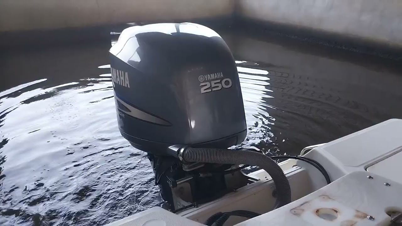 Yamaha 250 4-Stroke Start Up, 2006 Everglades 243 CC