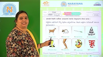 9TH NOV AP & TS CLASS IV FL TELUGU AMAZING ASSIGNMENT KEY