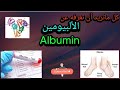 Albumin All Information You Need To Know Albumin 