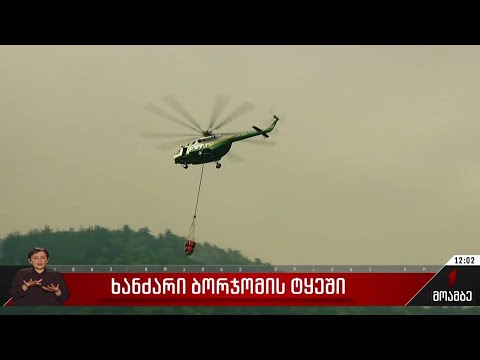 ხანძარი ბორჯომის ტყეში