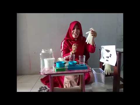 Video: Cara Mengajar Anak Untuk Memerah Susu